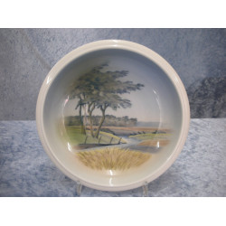 Bowl with landscape no 2905/2528, 4.5x21.5 cm, Factory first, RC