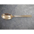 Champagne silver, Dessert spoon, 17.2 cm-2